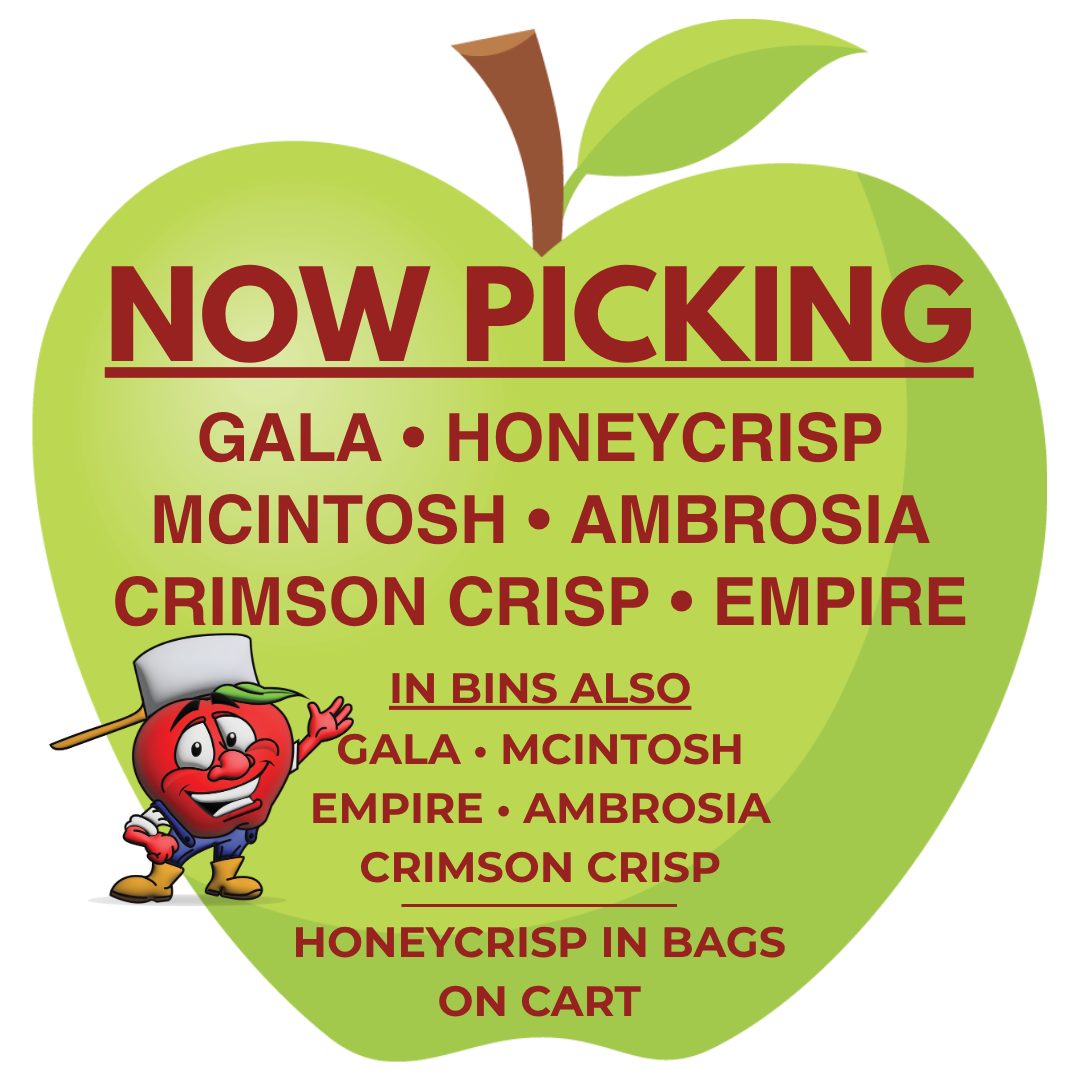 NOW PICKING gala, honeycrisp, mcintosh, empire, ambrosia